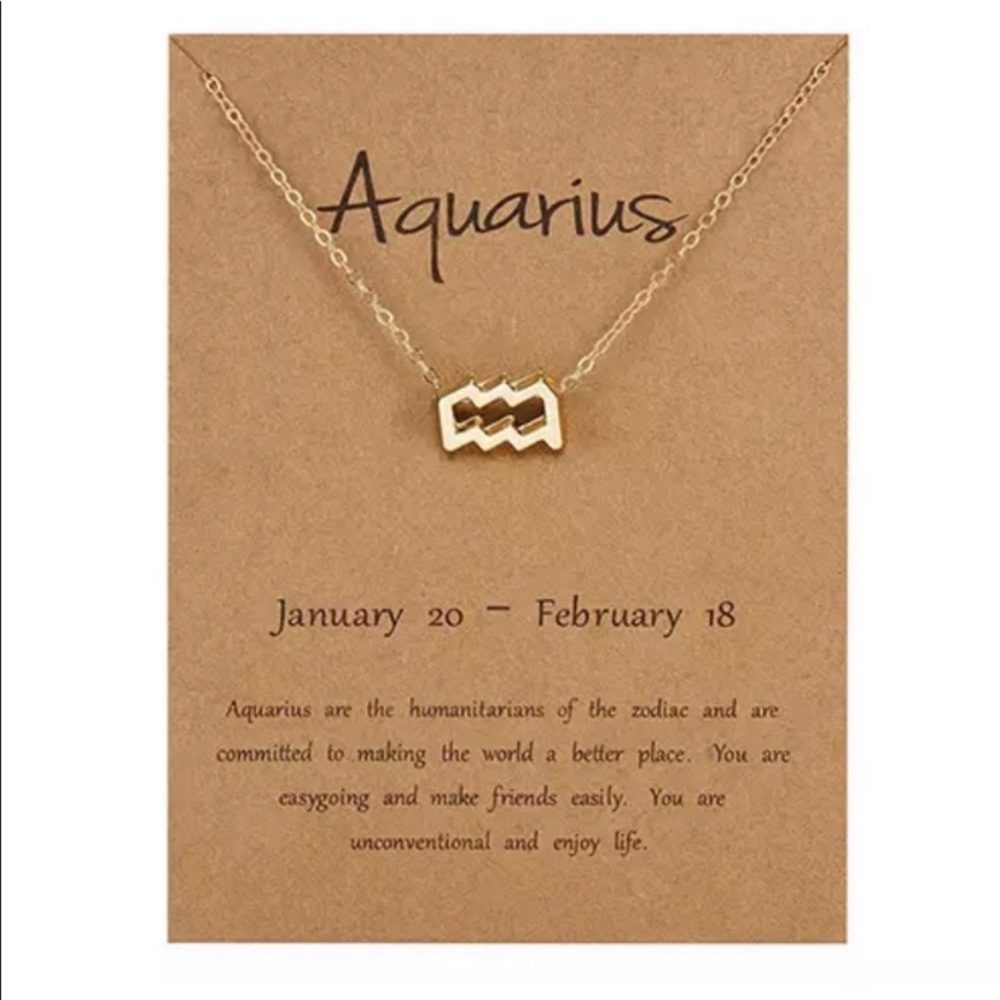 Aquarius ♒️ Zodiac Necklace